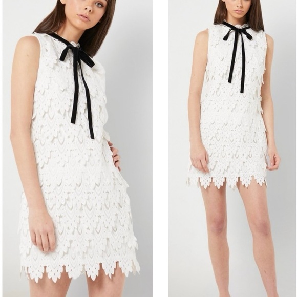 ELLIATT Harmonia Lace High Neck Cocktail Sleeveless Mini Dress Size Large New - Picture 3 of 10